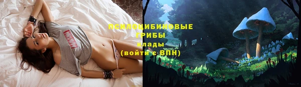 СК Куйбышев