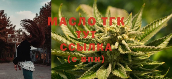 гидра Кукмор