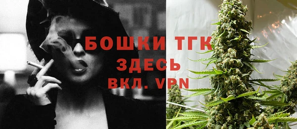 гидра Кукмор