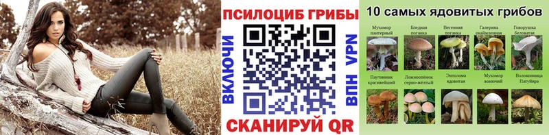 Галлюциногенные грибы Psilocybe  Купить  Октябрьск 